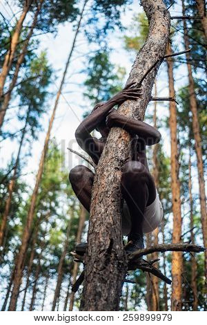 Male Black With No Shirt Climbs A Tree