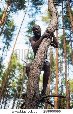 Male Black With No Shirt Climbs A Tree