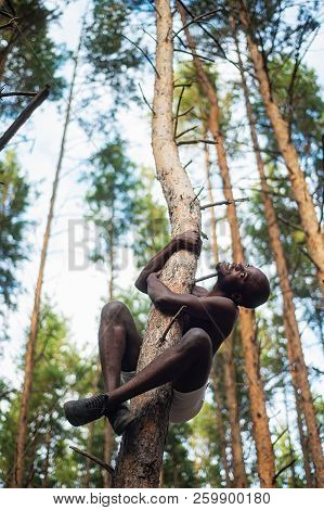 Male Black With No Shirt Climbs A Tree
