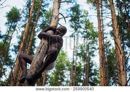 Male Black With No Shirt Climbs A Tree