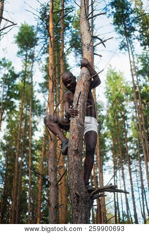 Male Black With No Shirt Climbs A Tree