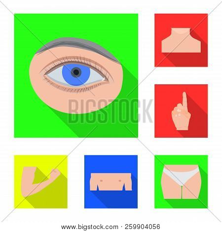 Vector Illustration Of Human And Part Symbol. Collection Of Human And Woman Stock Vector Illustratio