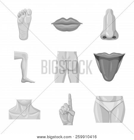 Vector Illustration Of Human And Part Symbol. Collection Of Human And Woman Vector Icon For Stock.