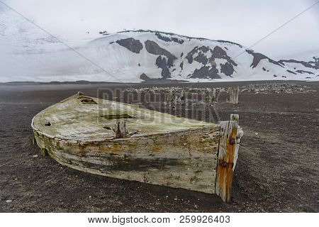 Old Wooden Boat On The Beach On Deception Island, Antarctica