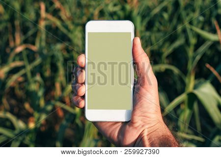 Agritech And Smart Farming, Mobile Phone App Mock Up Screen - Farmer Holding Smartphone With Blank S