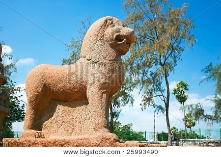Beş Rathas temle Mamallapuram, Tamil Nadu, Hindistan'da büyük heykel aslan detay