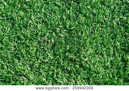 Texture Of Football Green Field Cover, Closeup.