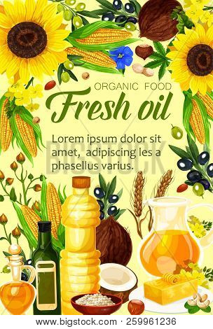 Oils Organic Food. Natural Butter Made Of Seeds, Olive And Corn, Linen, Peanuts And Rapeseed, Linsee