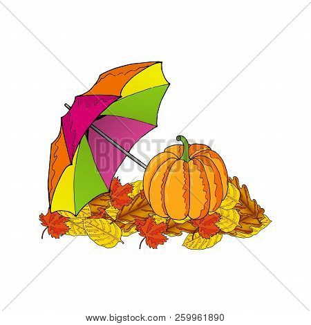 Pumpkin And Colorful Umbrella On Leaves. Vector Illustration.