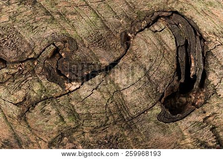 Wood Texture Of Brushed Pine Boards With Knots. Abstract Background With Wood Pattern.