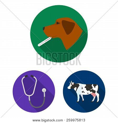 Veterinary Clinic Flat Icons In Set Collection For Design. Treatment Of A Pet Vector Symbol Stock We