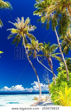 Paradise In Maldives. Idyllic Tropical Nature, Palm Trees, Blue Sky, White Sand