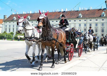 Viena, AUSTRIA - 22 de mayo: Coachwomen bastante Rubio de fiaker vienés famoso son muy populares y att