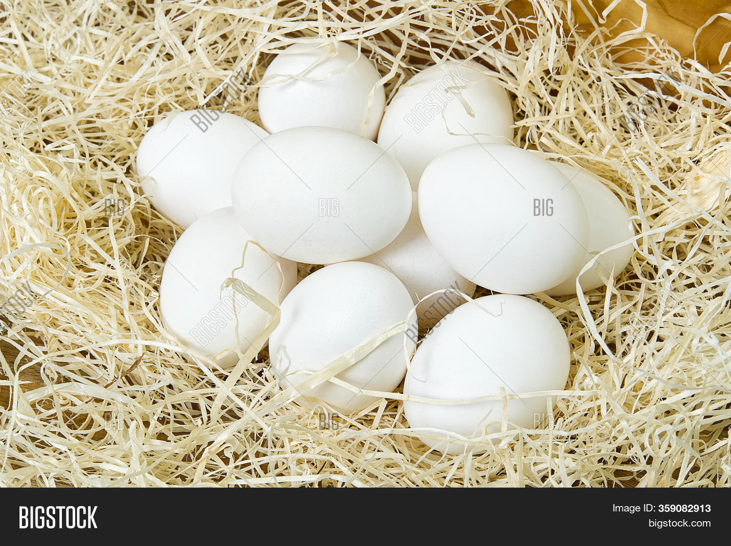 Chiken White Eggs Image & Photo (Free Trial) Bigstock
