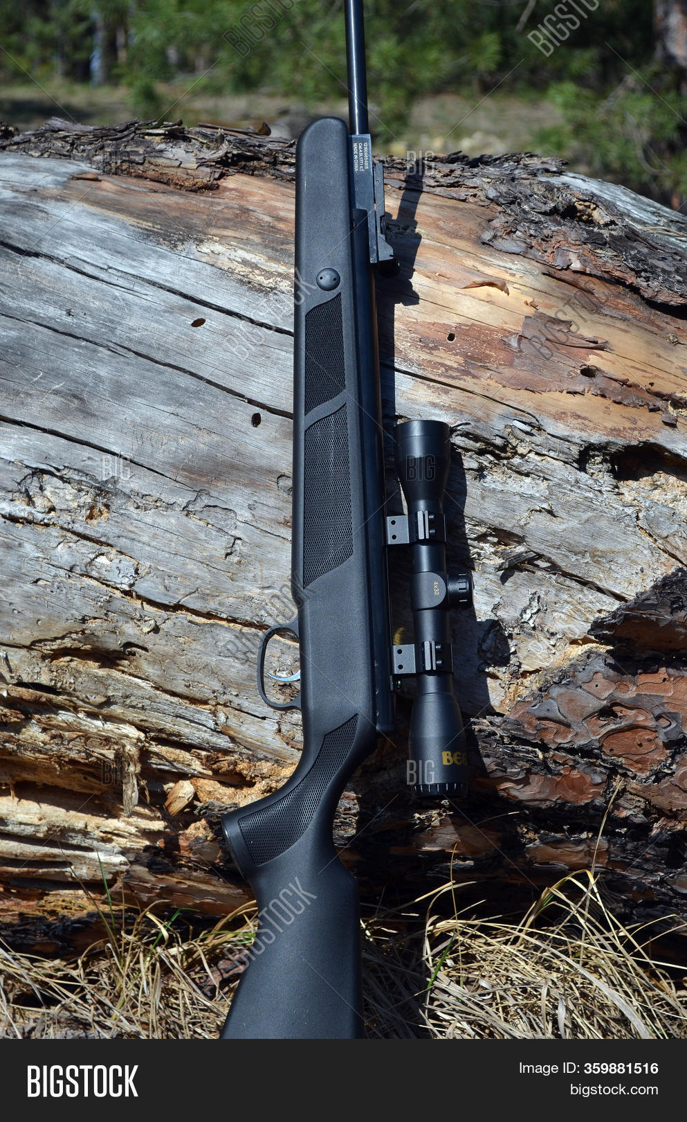 Beeman Rx1 Beeman RS1 Air Rifle Image & Photo (Free Trial) | Bigstock