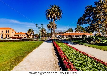 A Strole Around Government Gardens, Rotarua, New Zealand
