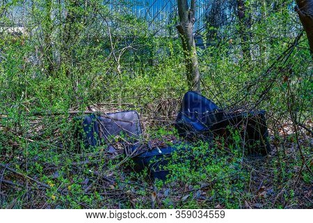 Old Pleather Chairs Thrown Away In Wilderness Among Thick Underbrush.