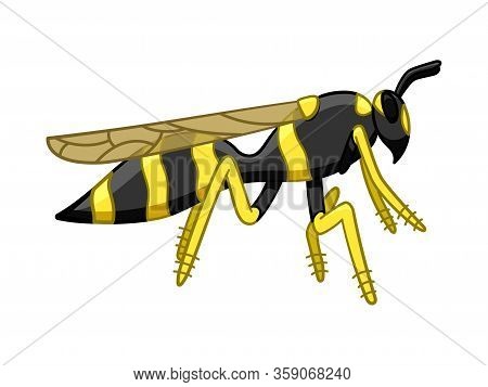 Cartoon Style Profile View Wasp Isolated Illustration On White Background
