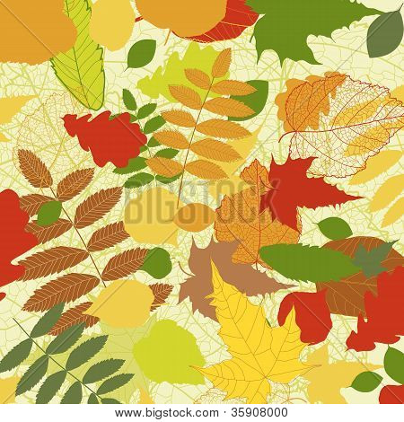 Őszi fényes levél háttér vector