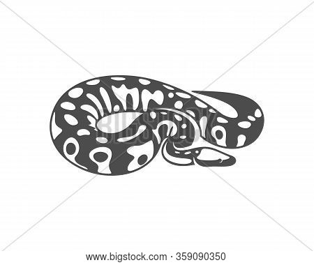 Python Snake Logo Vector, Animal Graphic, Snake Design Template Illustration