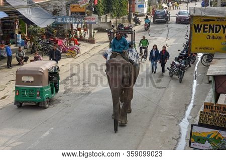 Man Riding An Elephant In The Main Street Of Sauraha In Nepal