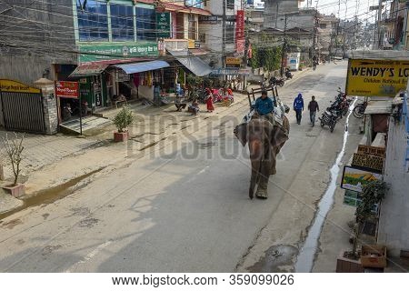 Man Riding An Elephant In The Main Street Of Sauraha In Nepal
