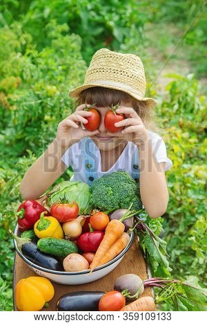 Child In The Garden With Vegetables In His Hands. Selective Focus.
