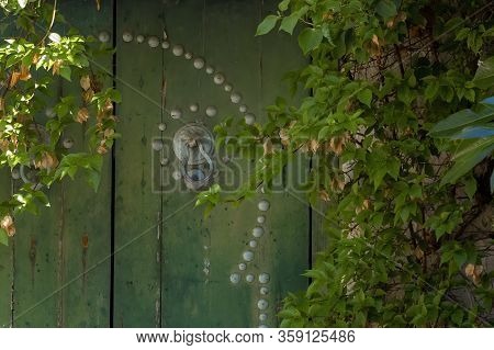 Traditional Green Arabian Door In A Tunisian Garden