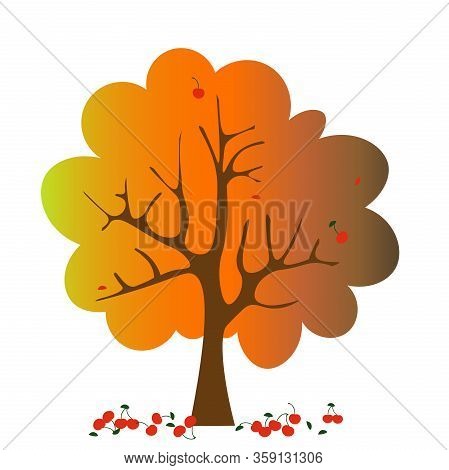 Vector Illustration Of The Fruit Tree With Orange Leaaves And Fallen Cherries