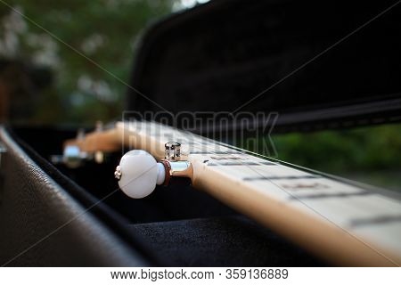 Five String Banjo Neck With Fifth String Peg Close-up, Country And Folk Style Instrument For Musical