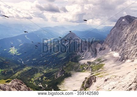 Flock Of Alpine Chough Birds Flying Over Dachstein Glacier Near Hunerkogel Mountain Car Station, Aus