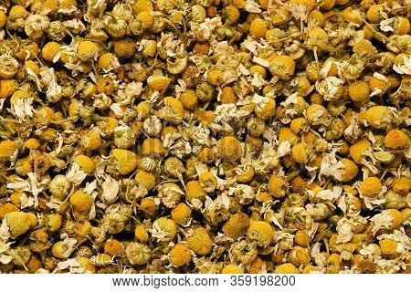 Background of dry chamomile. Matricaria chamomilla.