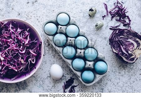 Dyed Blue Easter Eggs Painted With Natural Dye Red Cabbage On Grey Concrete Background. Process Of D