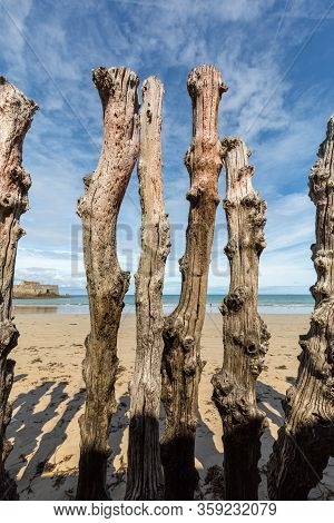 Big Breakwater, 3000 Trunks To Defend The City From The Tides, Plage De L Eventail Beach In Saint-ma