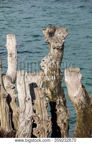 Big Breakwater, 3000 Trunks To Defend The City From The Tides, Plage De L Eventail Beach In Saint-ma