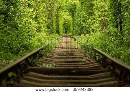 The Real Natural Wonder Tunnel Of Love Created From Forest Trees Along The Railway In Ukraine, Kleva
