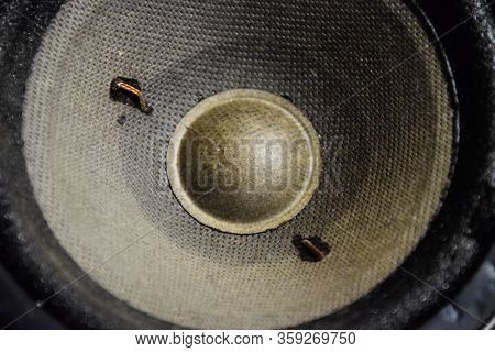 Medium-frequency Speakers 20gds-3. Soviet Vintage Acoustics, Elements Of A Music Column.