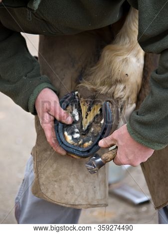 A Close Up Of A Farrier Putting A Shoe On The Hind Hoof Of A Horse.