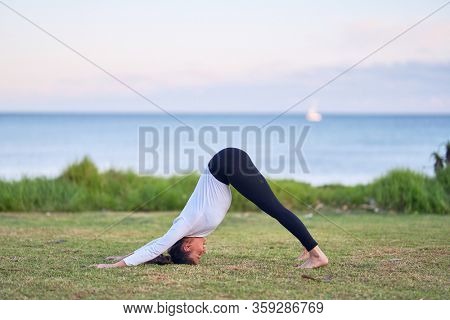 Young beautiful sportwoman practicing yoga. Coach teaching dolphine pose at park