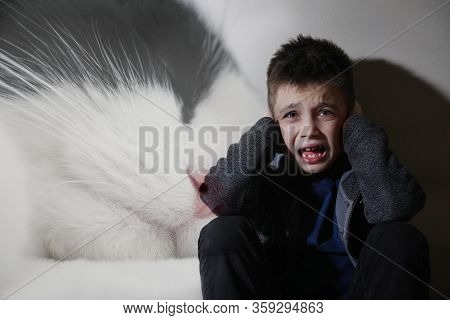 Little Boy Suffering From Ailurophobia. Irrational Fear Of Cats