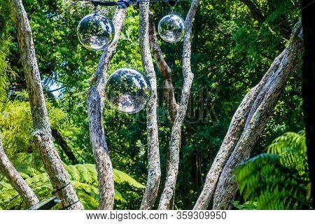 A Strole Through The Pukekura Park Botanical Gardens. New Plymouth, Taranaki, New Zealand