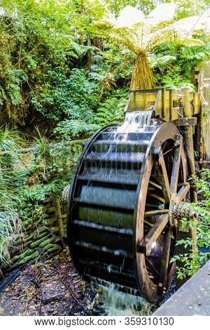 A Strole Through The Pukekura Park Botanical Gardens. New Plymouth, Taranaki, New Zealand