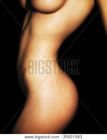digitale Illustration des nackten weiblichen OberkÃ¶rper