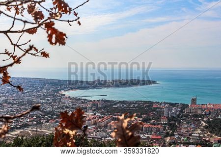 View Of The City Center And The Bay From The Mountains
