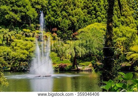 A Strole Through The Pukekura Park Botanical Gardens. New Plymouth, Taranaki, New Zealand