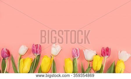 Abstract Spring Floral Background, Banner, Minimal Holiday Concept. Greeting Card For Mother's Day, 