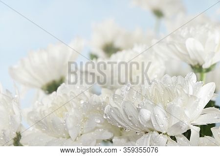 Abstract Spring Floral Background, Banner, Minimal Holiday Concept. Greeting Card For Mother's Day, 