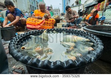 Kolkata, West Bengal, India - 16th December 2018 : Alive Fishes For Sale. Aged Woman Selling Them In