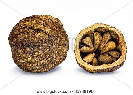 Brazilian Nut, Inside The Coconut, Known As 