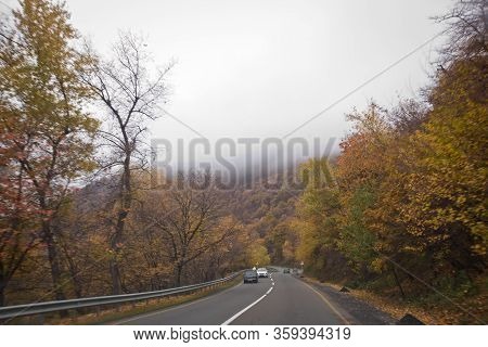 View Of Road With Oak Trees Alley At Autumn . Autumn Landscape With Road . Road In The Autumnal Fore